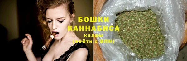 прущие грибы Балахна