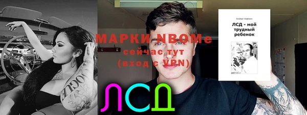 прущие грибы Балахна
