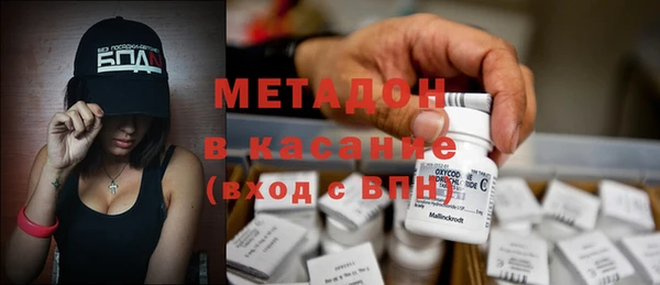 прущие грибы Балахна