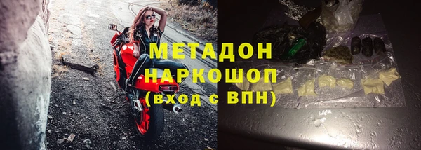 прущие грибы Балахна