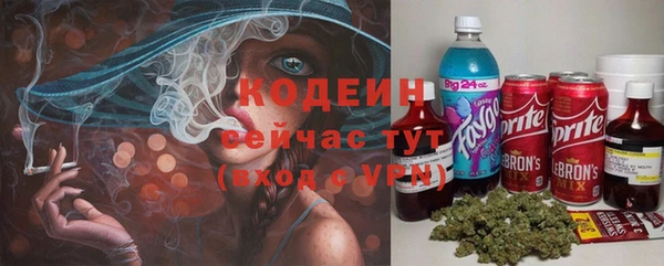 прущие грибы Балахна