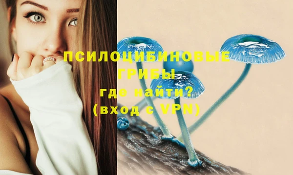 прущие грибы Балахна