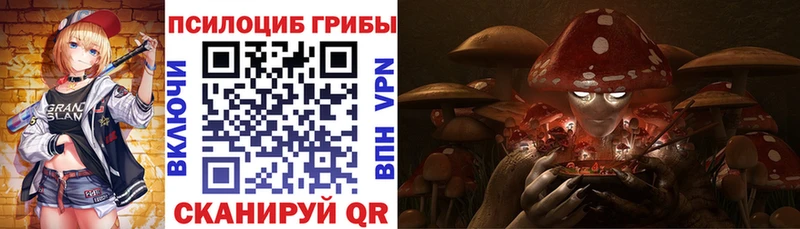 купить наркотик  Ладушкин  Галлюциногенные грибы Psilocybine cubensis 